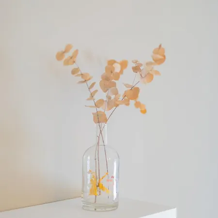 Apartman Bella Lux With Jacuzzi, Grill & Garden *