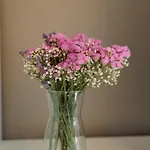 Bella Lux With Jacuzzi, Grill & Garden Apartment Zadar