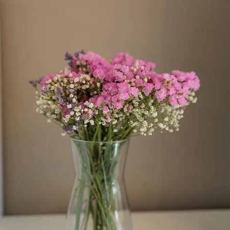 Bella Lux With Jacuzzi, Grill & Garden Apartmán Zadar